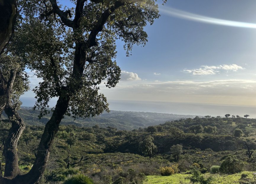 Reventa - Plot - Land - Marbella - La Mairena