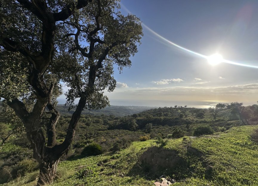 Reventa - Plot - Land - Marbella - La Mairena