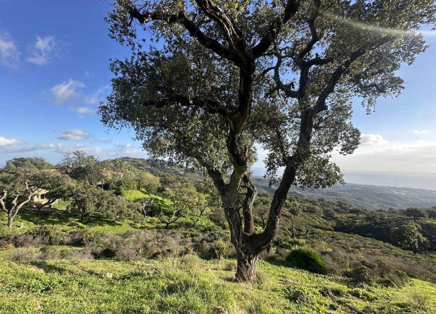 Reventa - Plot - Land - Marbella - La Mairena