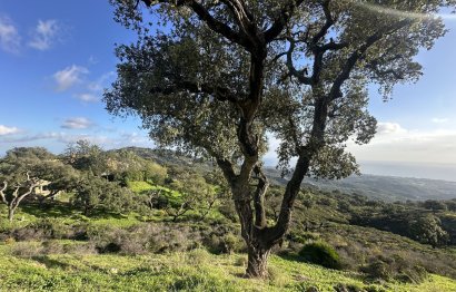 Reventa - Plot - Land - Marbella - La Mairena