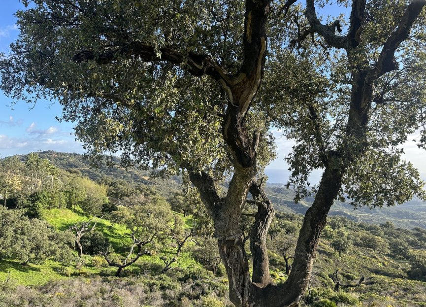 Reventa - Plot - Land - Marbella - La Mairena