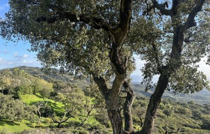 Reventa - Plot - Land - Marbella - La Mairena