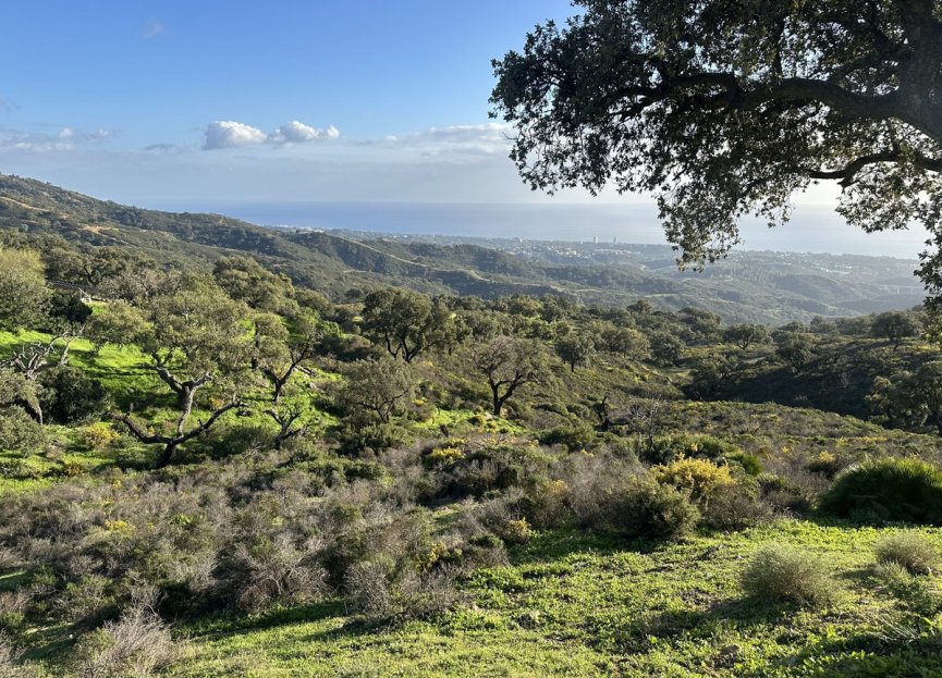 Reventa - Plot - Land - Marbella - La Mairena