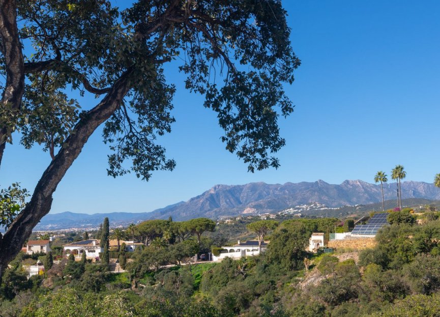 Resale - House - Detached Villa - Marbella - Elviria