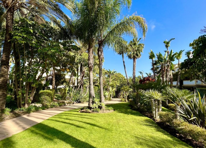 Resale - Ground floor apartment - Marbella - The Golden Mile