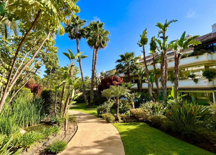 Resale - Ground floor apartment - Marbella - The Golden Mile