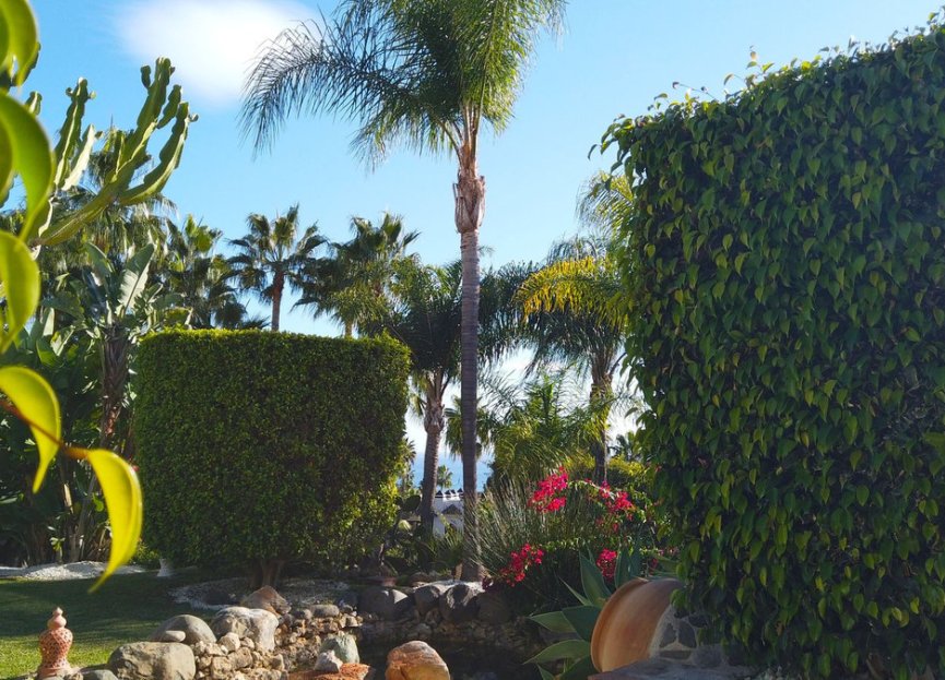 Reventa - House - Detached Villa - Marbella - Hacienda Las Chapas