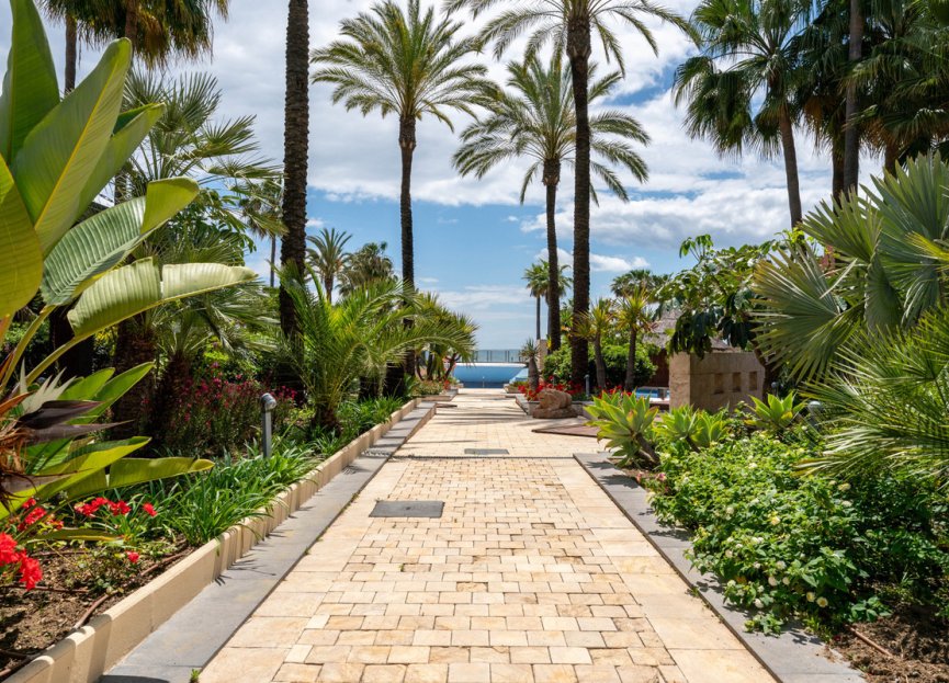 Resale - Apartment - Middle Floor Apartment - Estepona - Estepona Centro