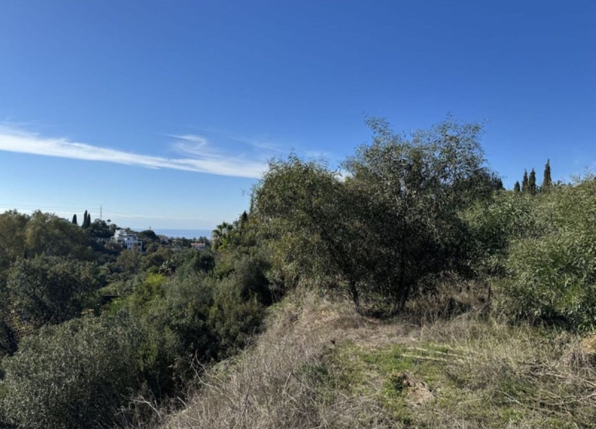 New Build - House - Detached Villa - Marbella - Elviria