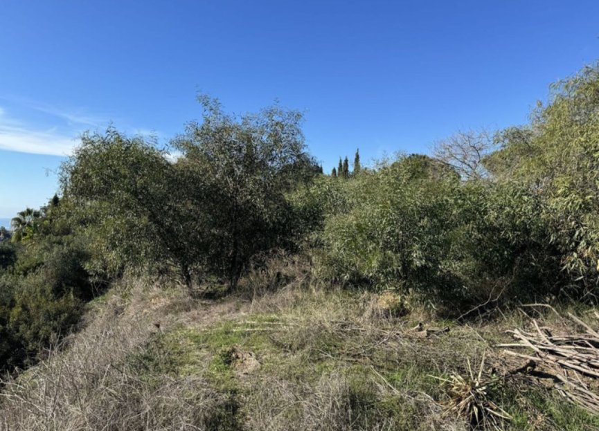 New Build - House - Detached Villa - Marbella - Elviria