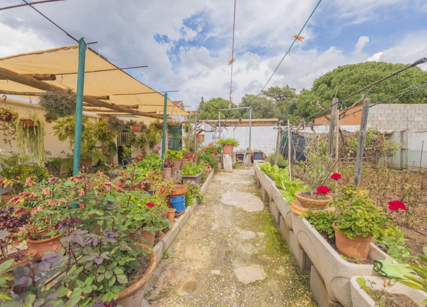 Resale - House - Detached Villa - Marbella - Las Chapas