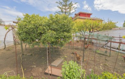 Resale - House - Detached Villa - Marbella - Las Chapas