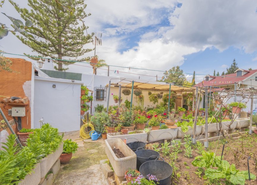 Resale - House - Detached Villa - Marbella - Las Chapas