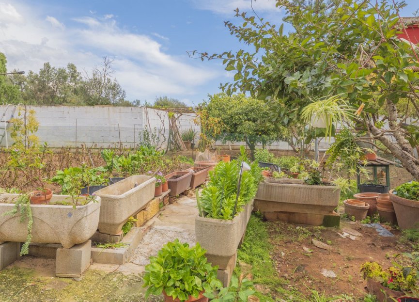 Resale - House - Detached Villa - Marbella - Las Chapas