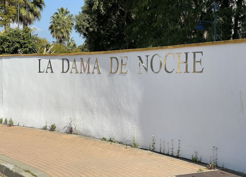 Reventa - Apartment - Penthouse - Marbella - Nueva Andalucia