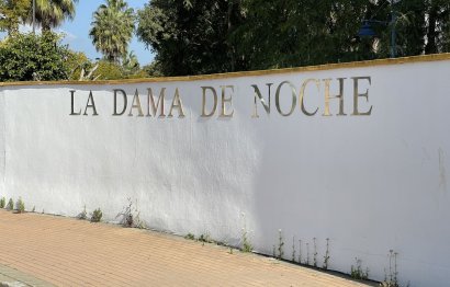 Reventa - Apartment - Penthouse - Marbella - Nueva Andalucia