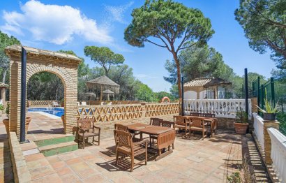 Reventa - Apartment - Penthouse - Marbella - Nueva Andalucia