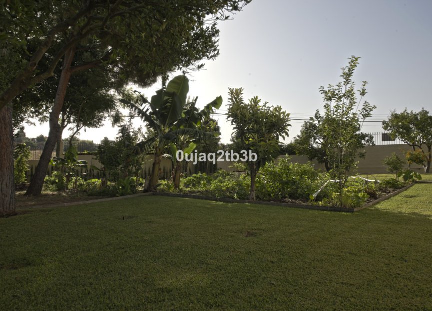 Resale - House - Detached Villa - Estepona - New Golden Mile