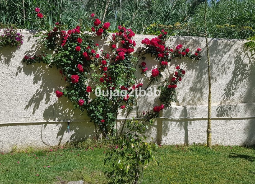 Resale - House - Detached Villa - Estepona - New Golden Mile