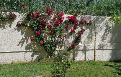 Resale - House - Detached Villa - Estepona - New Golden Mile