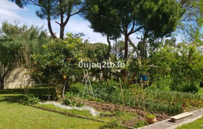 Resale - House - Detached Villa - Estepona - New Golden Mile