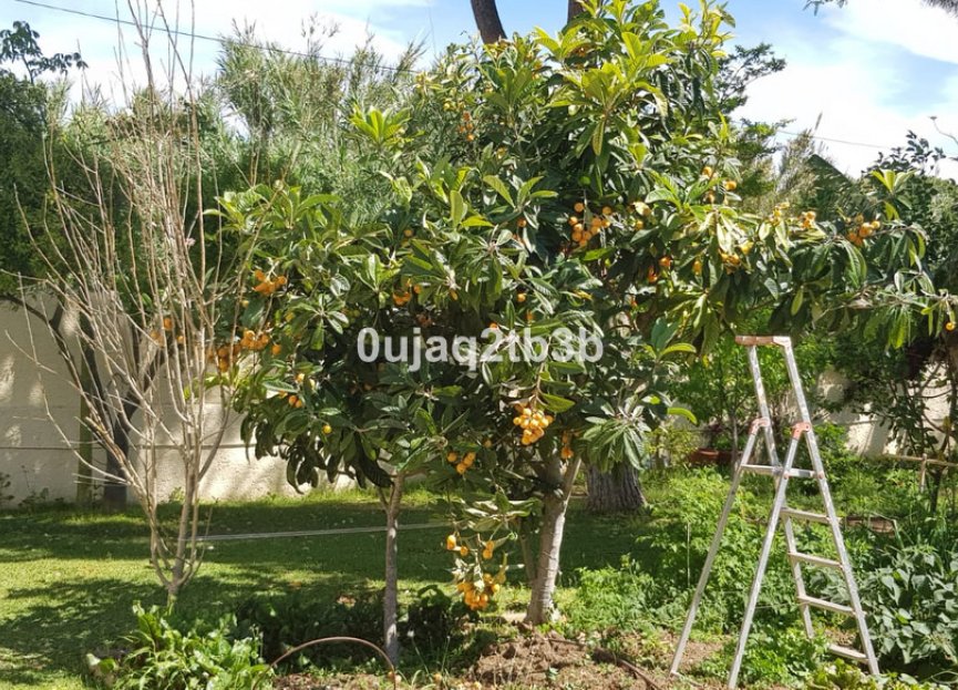 Resale - House - Detached Villa - Estepona - New Golden Mile