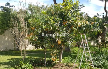 Resale - House - Detached Villa - Estepona - New Golden Mile