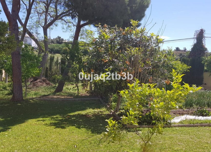 Resale - House - Detached Villa - Estepona - New Golden Mile