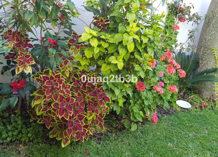 Resale - House - Detached Villa - Estepona - New Golden Mile