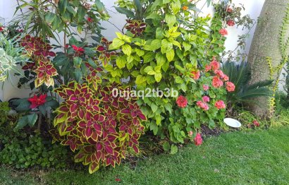 Resale - House - Detached Villa - Estepona - New Golden Mile