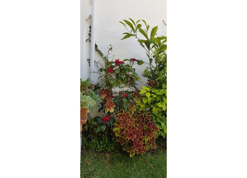 Resale - House - Detached Villa - Estepona - New Golden Mile