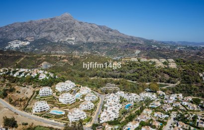 Resale - Apartment - Middle Floor Apartment - Marbella - Nueva Andalucia