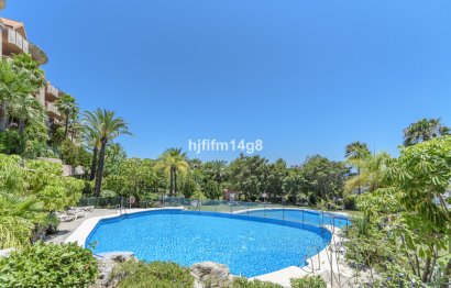 Resale - Apartment - Middle Floor Apartment - Marbella - Nueva Andalucia