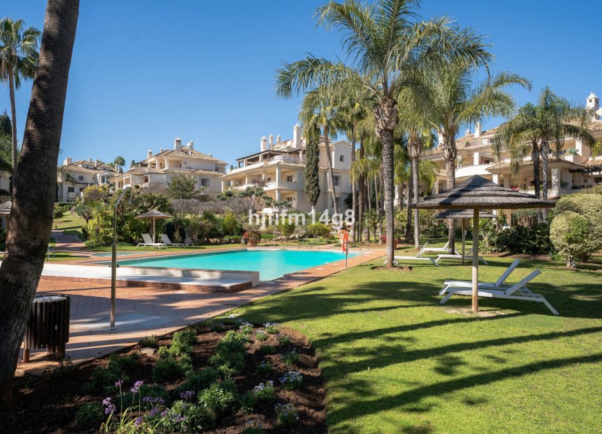 Resale - Ground floor apartment - Marbella - Nueva Andalucia