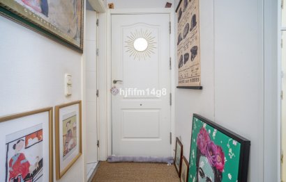 Resale - Ground floor apartment - Marbella - Nueva Andalucia