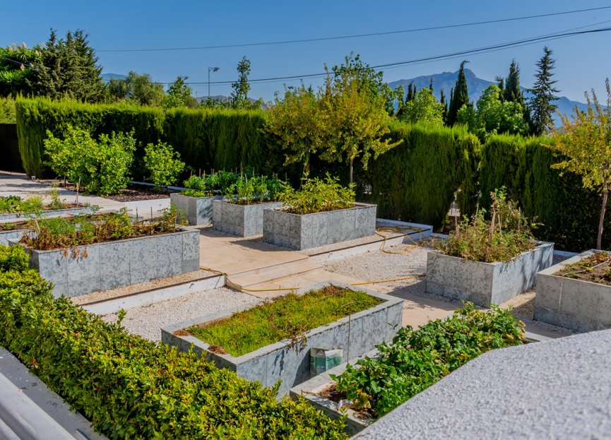 Resale - House - Detached Villa - Marbella - Guadalmina Alta