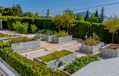 Resale - House - Detached Villa - Marbella - Guadalmina Alta