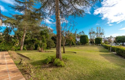 Reventa - Ground floor apartment - Marbella - Nueva Andalucia