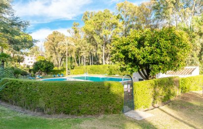 Reventa - Ground floor apartment - Marbella - Nueva Andalucia