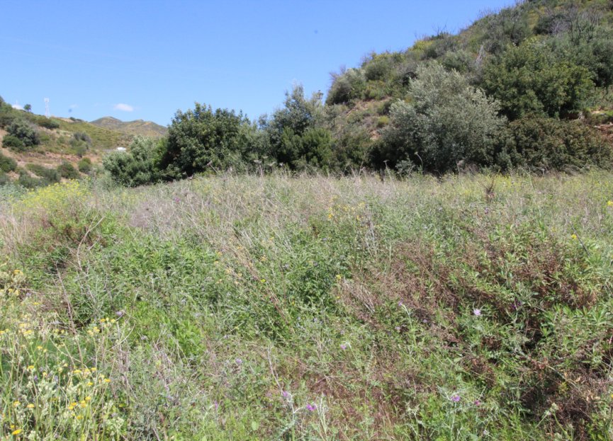 Reventa - Plot - Residential Plot - Marbella - El Rosario