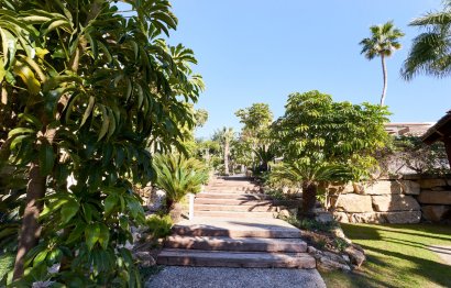 Resale - Apartment - Penthouse - Estepona - Estepona Centro