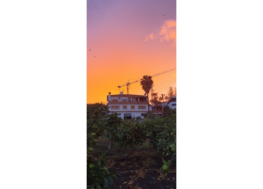 Resale - House - Finca - Cortijo - Estepona - Cancelada