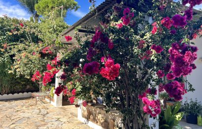 Reventa - House - Finca - Cortijo - Estepona - New Golden Mile