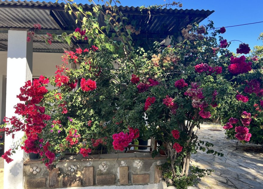 Reventa - House - Finca - Cortijo - Estepona - New Golden Mile