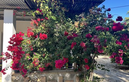 Reventa - House - Finca - Cortijo - Estepona - New Golden Mile