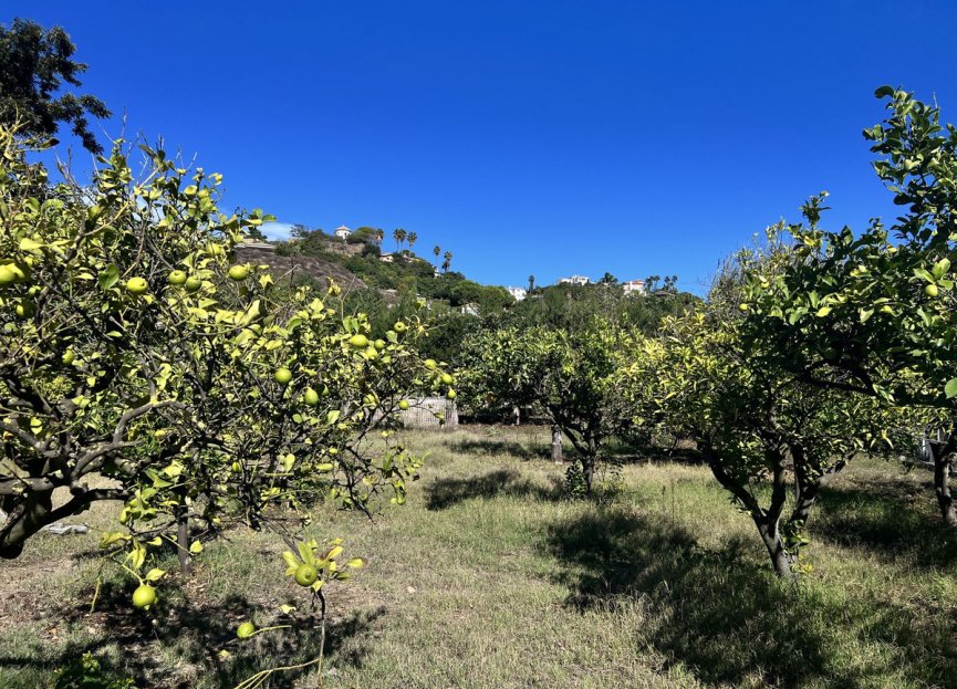 Reventa - House - Finca - Cortijo - Estepona - New Golden Mile