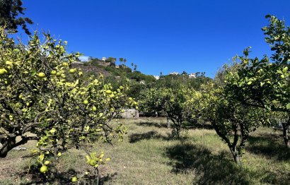 Reventa - House - Finca - Cortijo - Estepona - New Golden Mile