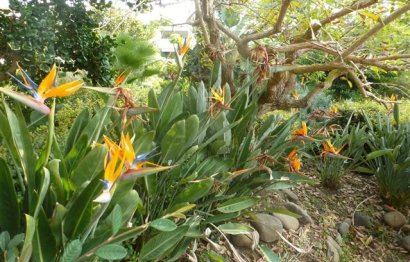 Resale - Apartment - Penthouse - Marbella - Guadalmina Baja