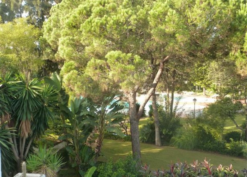 Resale - Apartment - Penthouse - Marbella - Guadalmina Baja