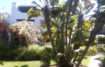 Resale - Apartment - Penthouse - Marbella - Guadalmina Baja